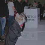 How to Register Your Cat to Vote (A Necessary Evil to Save Democracy)